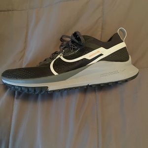 Nike Pegasus Trail 4 Gore-Tex